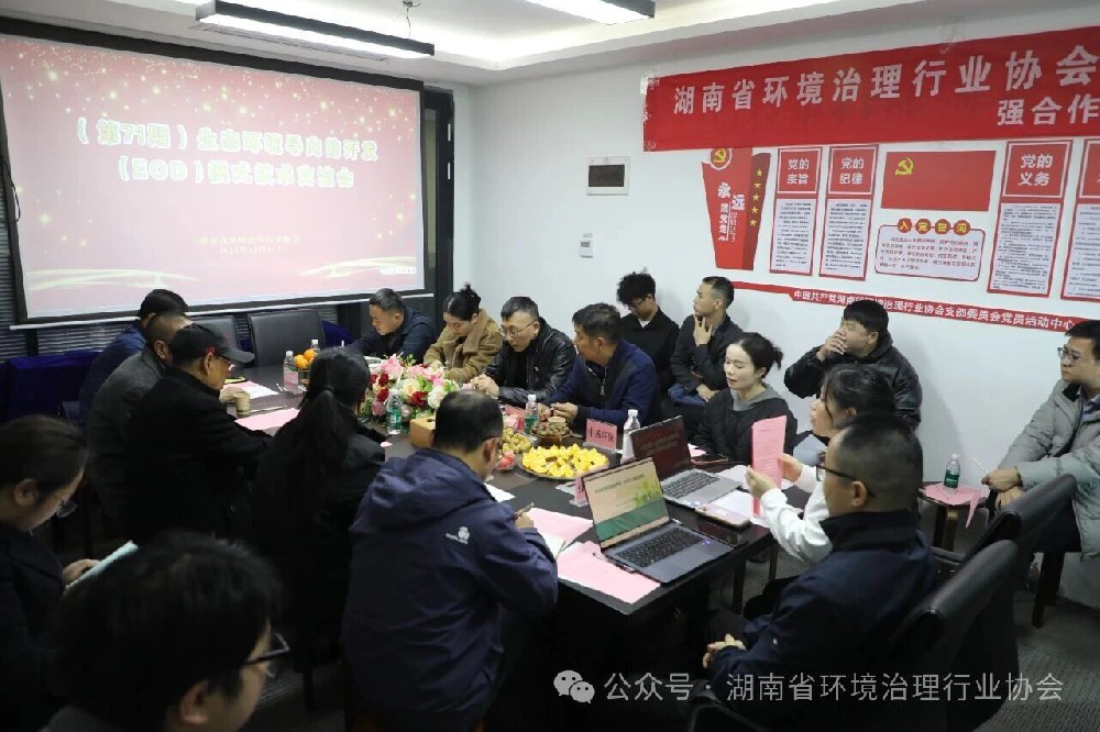 1766115513452103.jpg 1.jpg